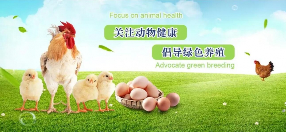 獸藥GMP認證儀器配置清單